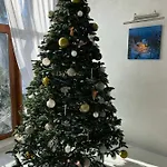 Готель Вілла Драгобрат ドラゴブラト