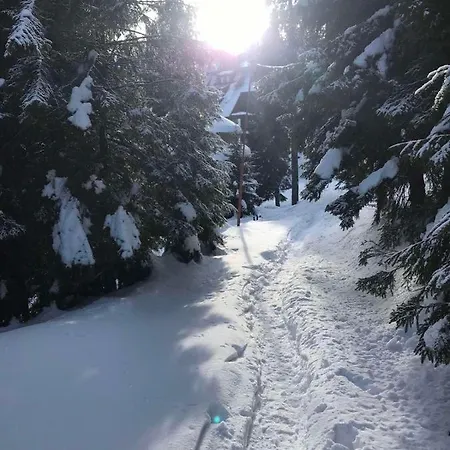 Готель Вілла Драгобрат Hotel *