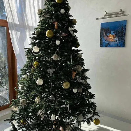 Готель Вілла Драгобрат Drahobrat