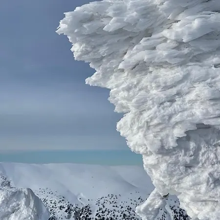 Готель Вілла Драгобрат Drahobrat